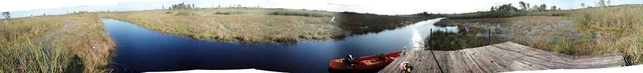 Loxahatchee Swamp in south Florida.