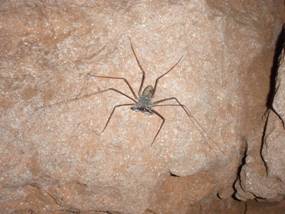 Puerto Rico Vacation 2008